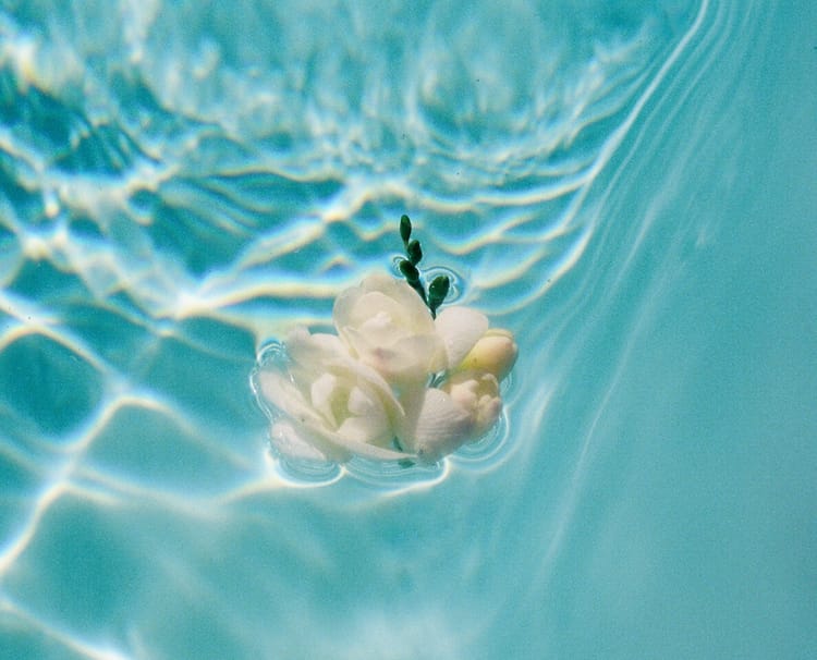 The 12th House: Your Spiritual Backstage