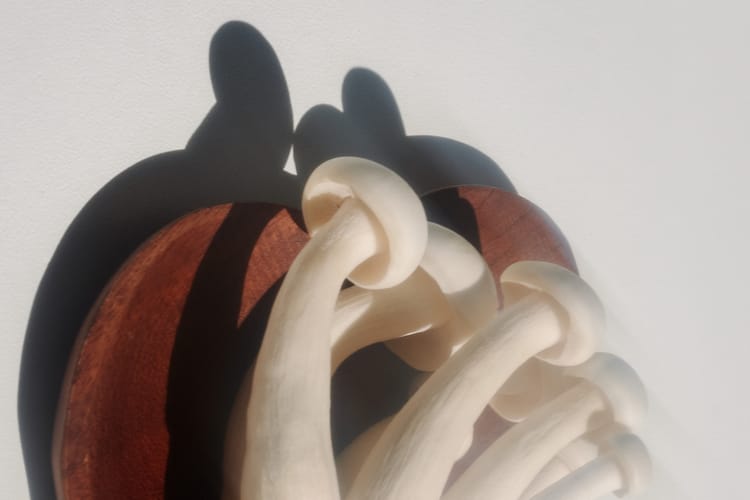 How the "Big Five" Personality Traits Are Formed