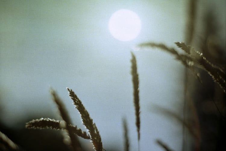 How to Use the Big Five Model for Personal Growth