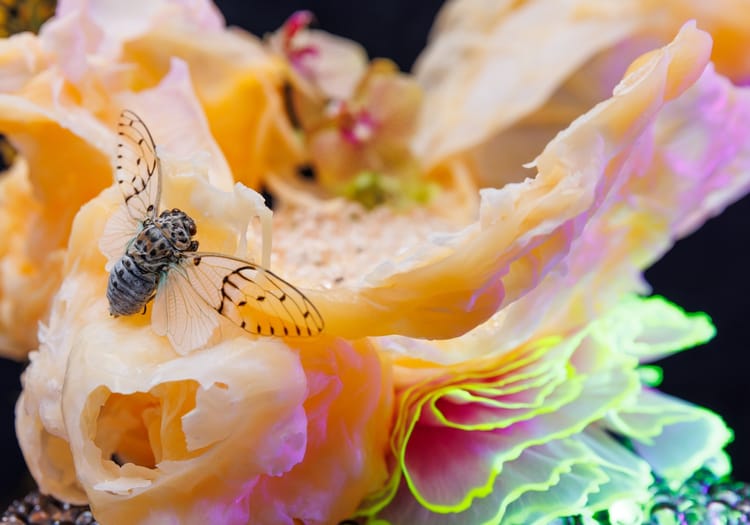 How Your Enneagram Type Changes, For Better and Worse