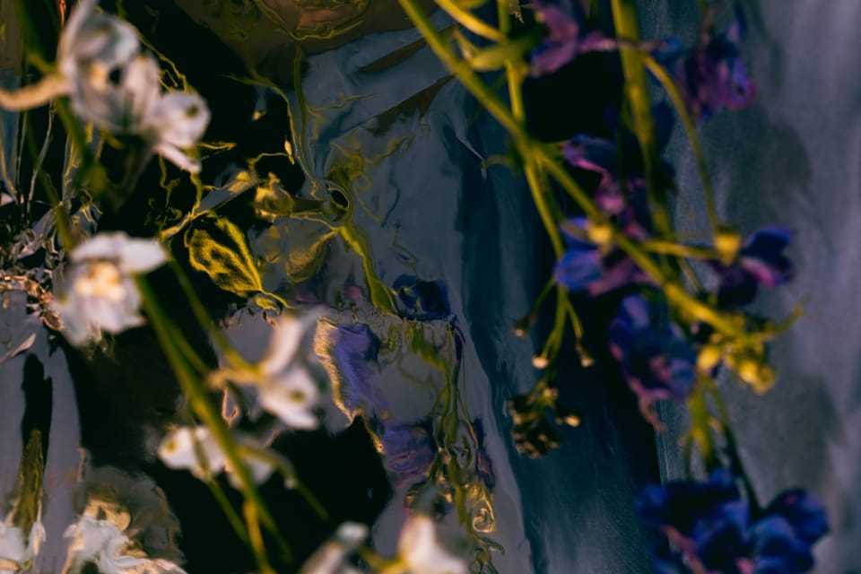 Understanding Your Birth Chart: Planetary Dignities