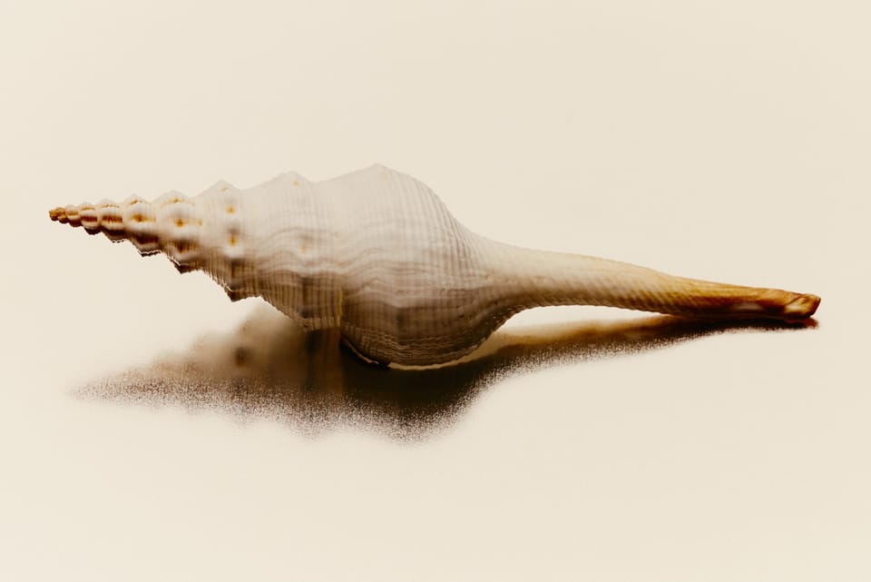 The Five Parts of Your Personality, According to Science