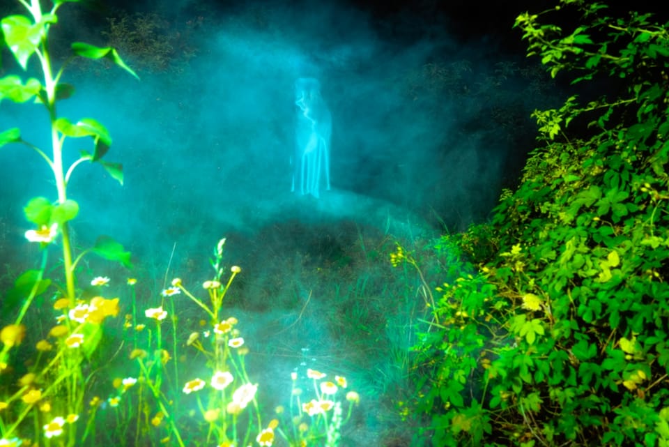 Understanding Court Cards in Tarot: Pages, Knights, Queens & Kings